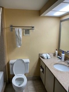 Original bathroom before renovation